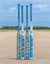 2027 Marucci ASURA RISE vs. 2027 Marucci ASURA LUX RISE: Which New Fastpitch Softball Bat Is Right for You?
