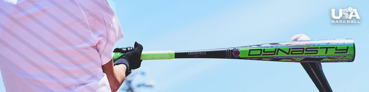 0000 US LOUISVILLESLUGGER USA DYNASTY 1600x400 1 NoCopy H3