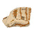 mizuno-gmp-4000s-cream-tan-black-gold-baseball-glove-side
