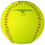 Champro-Vex-11-Inch-Training-Softball-CSB-XB11-Nylon-Cover-Indoor-Front-View