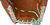 MFG2CYFP97R3 TF MT C2