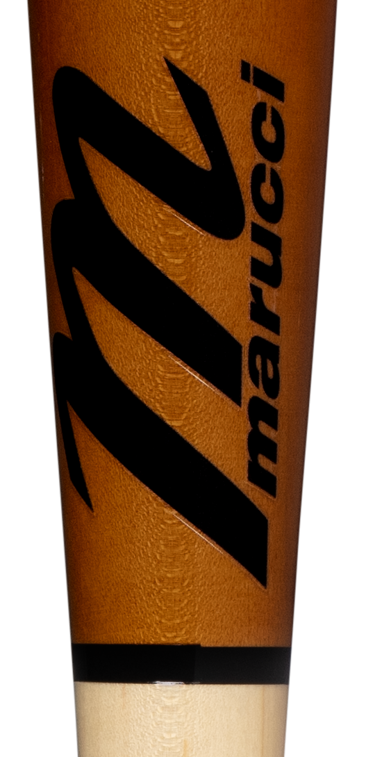 MVE6 KG01 N WT logo