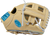 PROR204W 1CCB 3
