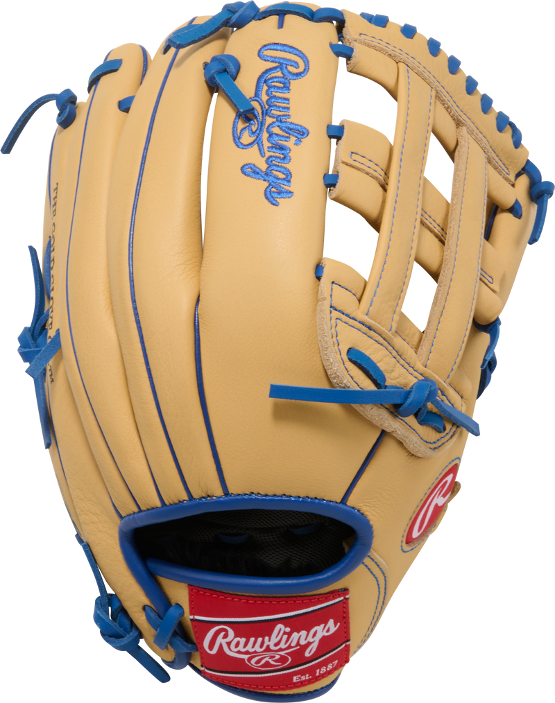 RAWLINGS HEART OF THE HIDE