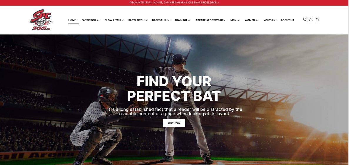 SPC Sports /Baseball/Bats/USSSA Bats\/1.15 BPF – Page 4
