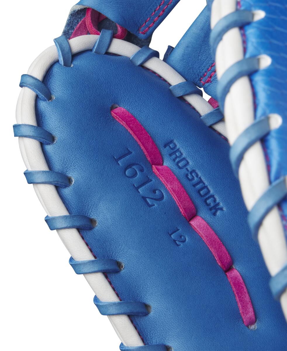 WBW103441 6 A2000 2025 LTM 1612 Variety Blue 12 12 Multicolor Flamingo