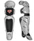 All - Star S7 Axis Pro Adult Baseball Leg Guards LG30PRO - SPC SportsLG30SPRO-SV_BKAll - Star