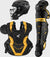 Easton-Elite-X-ELXKITI-Intermediate-Catchers-Box-Set-Helmet-Chest-Protector-Leg-Guards-Black-Light-Gold-Front-View