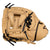Mizuno Prospect Parashock Series 11" Baseball Glove GPT1100Y4 - SPC SportsGPT1100Y4 - RMizuno