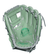 Rawlings Pro Preferred Icon 11 1/2" Baseball Glove PROS204 - RI - SPC SportsPROS204-RIRawlings